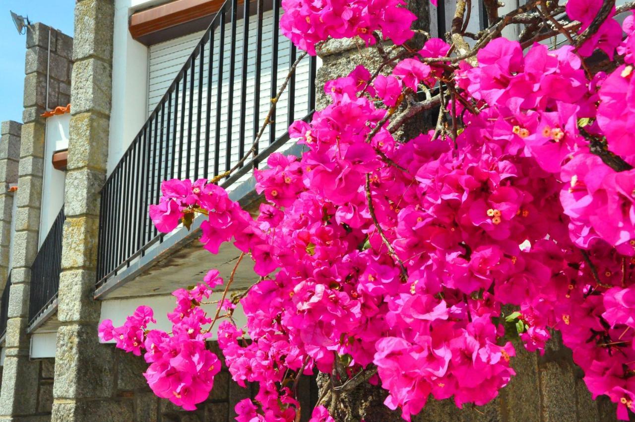 Hotel Do Cais Darque ห้อง รูปภาพ